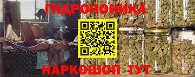 дмт Балахна