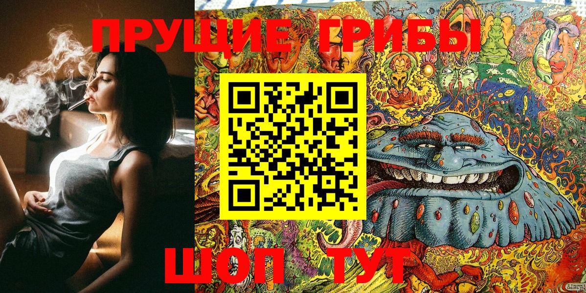 Апшеронск  Галлюциногенные грибы GOLDEN TEACHER  Вход с VPN 