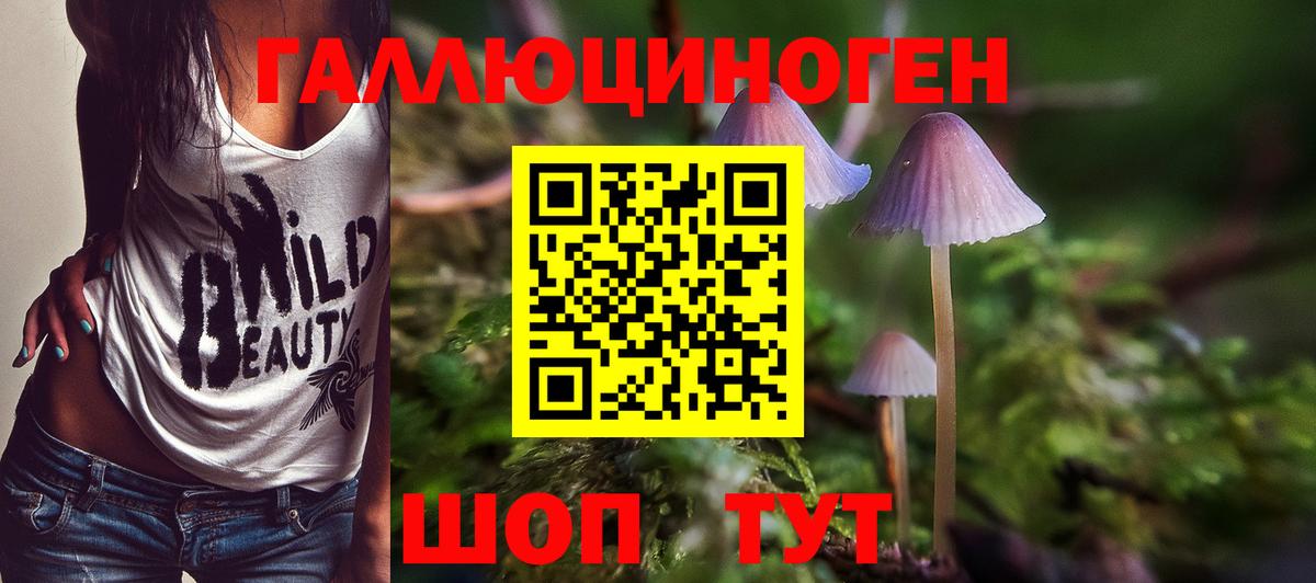 Псилоцибиновые грибы ЛСД Апшеронск